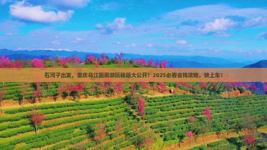 石河子到重庆乌江画廊哪里玩