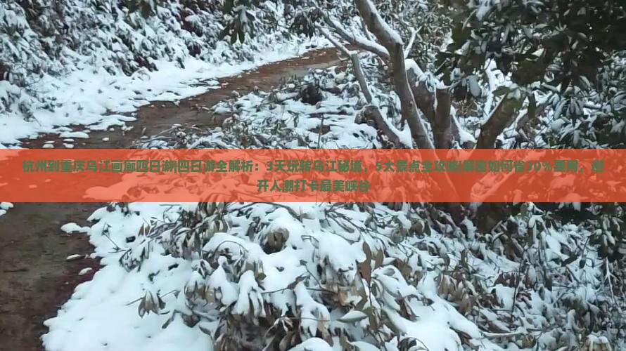 杭州到重庆乌江画廊四日游