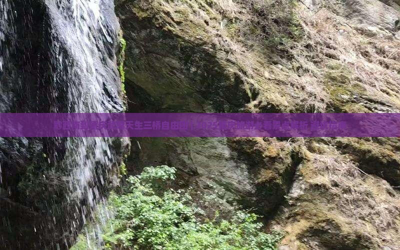 黔西南到重庆武隆天生三桥自由团
