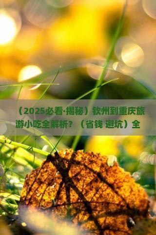 钦州到重庆旅游小吃