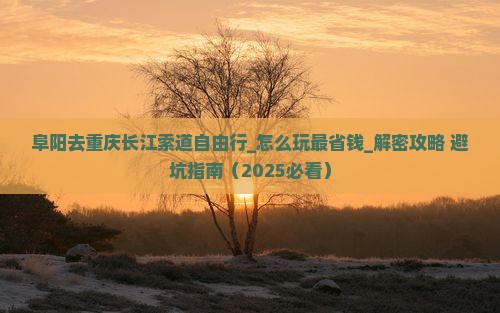 阜阳去重庆长江索道自由行