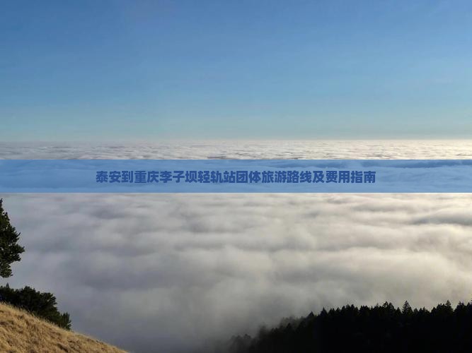 泰安到重庆李子坝轻轨站团体旅游