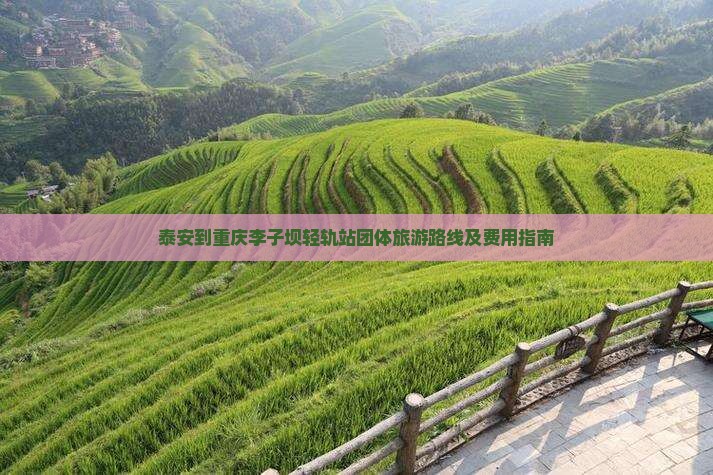 泰安到重庆李子坝轻轨站团体旅游