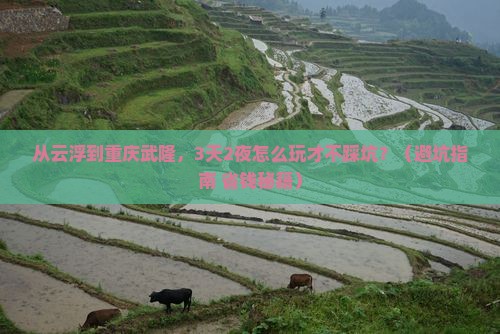 云浮去重庆武隆自由行