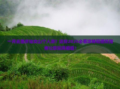 一月去重庆仙女山个人游