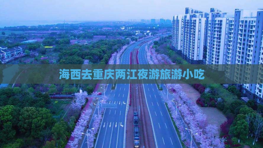 海西去重庆两江夜游旅游小吃