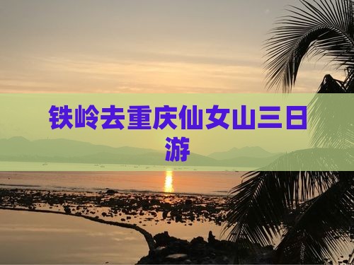 铁岭去重庆仙女山三日游