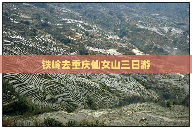 铁岭去重庆仙女山三日游