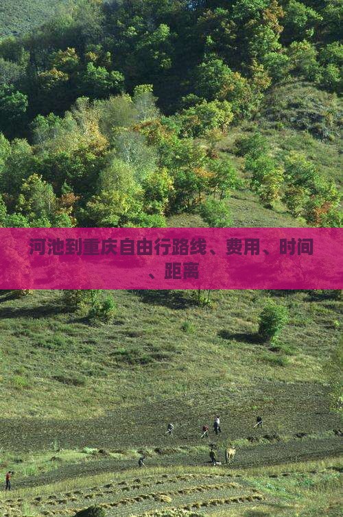 河池到重庆自由行