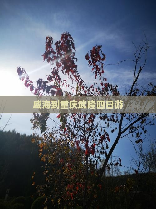 威海到重庆武隆四日游