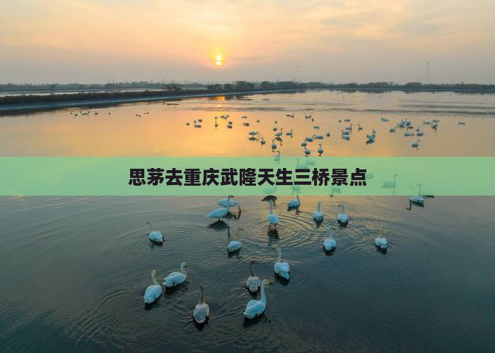 思茅去重庆武隆天生三桥景点