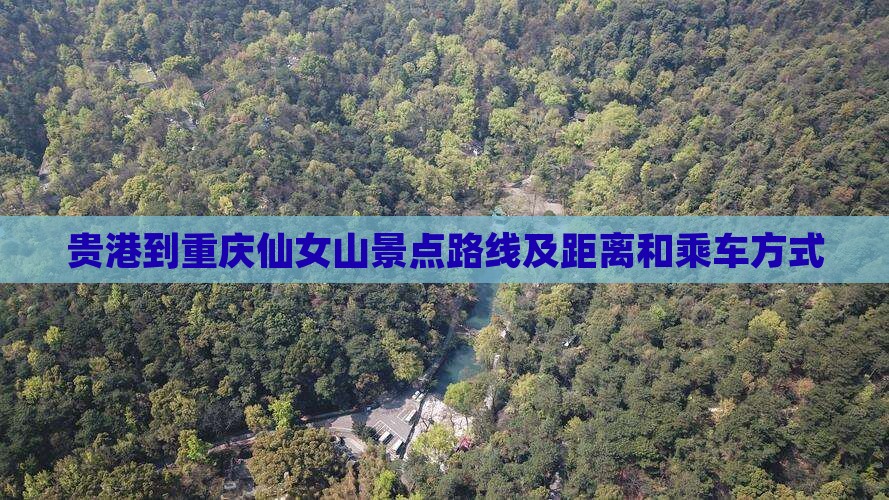 贵港到重庆仙女山景点