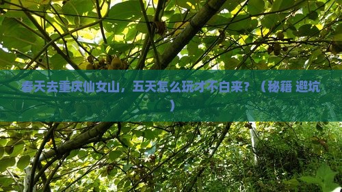 春天到重庆仙女山五日游