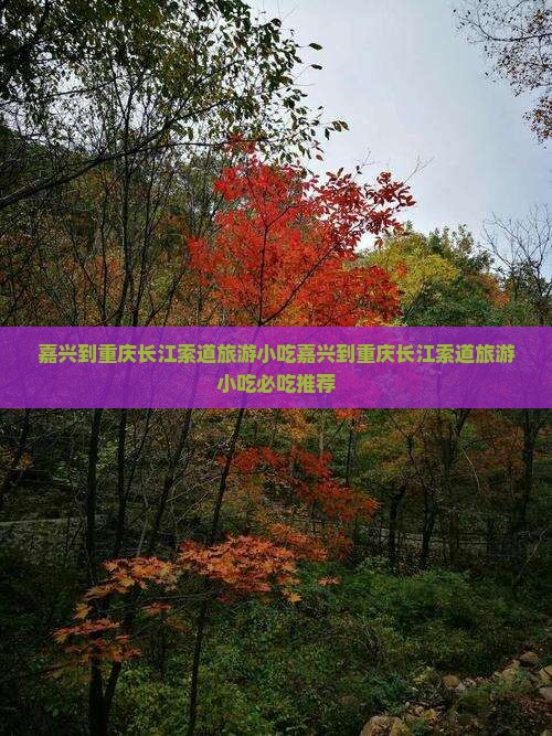 嘉兴到重庆长江索道旅游小吃