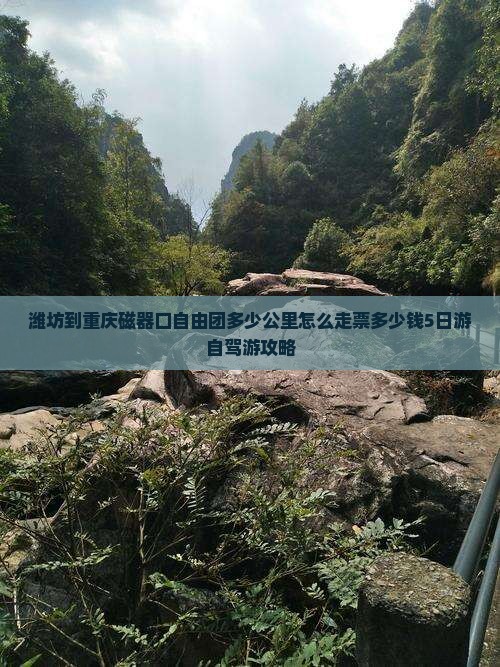 潍坊到重庆磁器口自由团