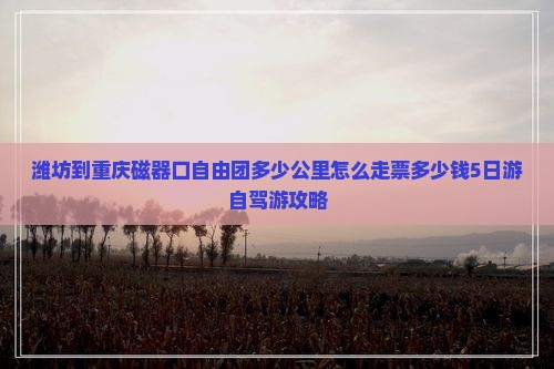 潍坊到重庆磁器口自由团