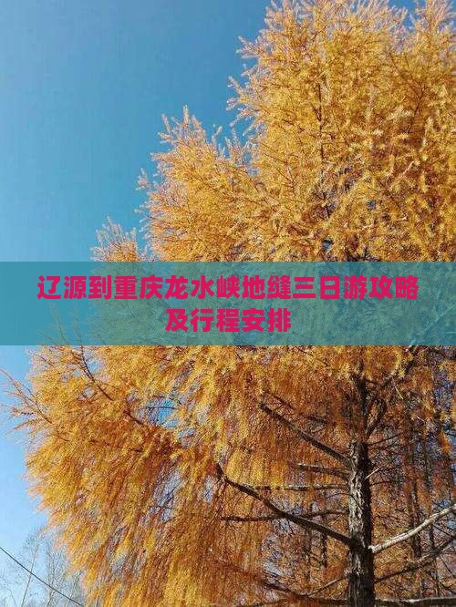 辽源到重庆龙水峡地缝三日游