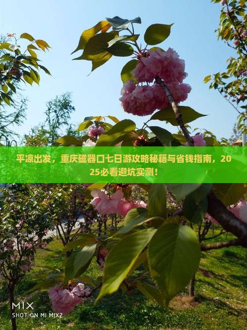 平凉去重庆磁器口七日游