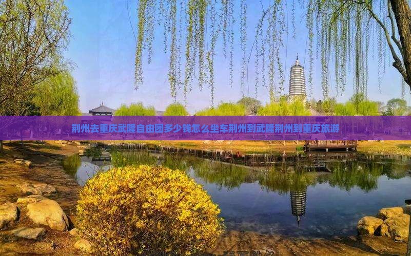 荆州去重庆武隆自由团