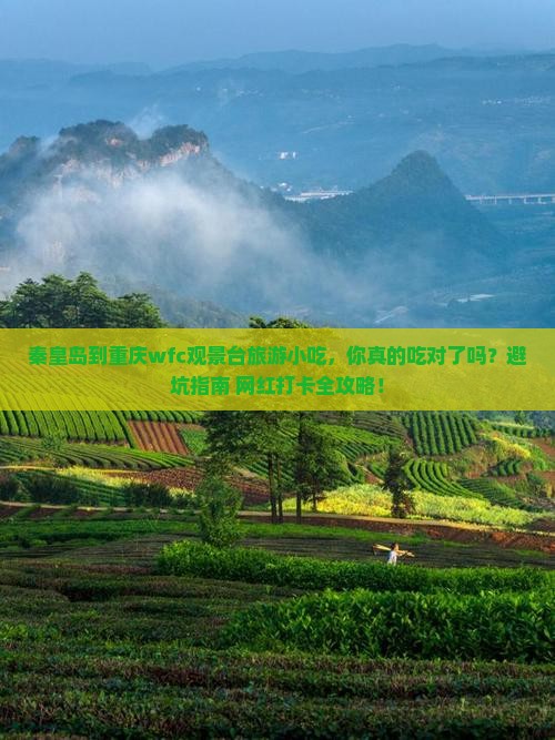秦皇岛到重庆wfc观景台旅游小吃