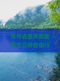 焦作去重庆武隆天生三桥自由行