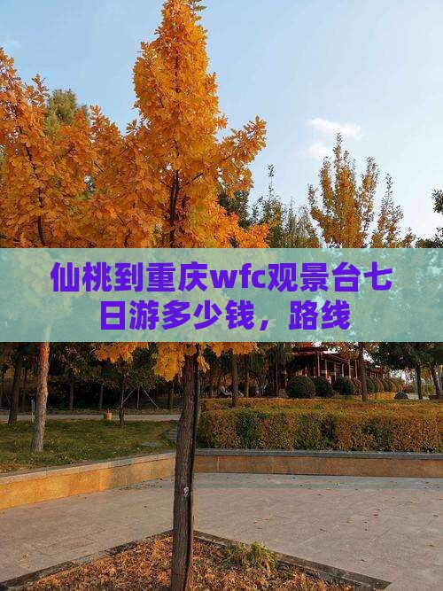 仙桃到重庆wfc观景台七日游