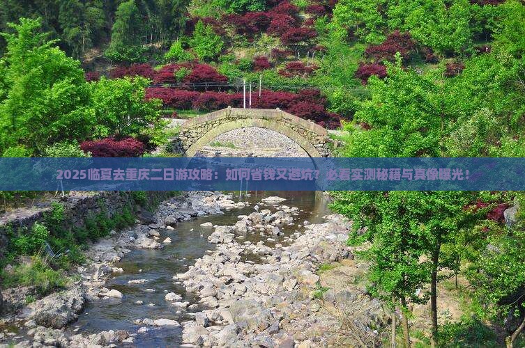 临夏去重庆二日游
