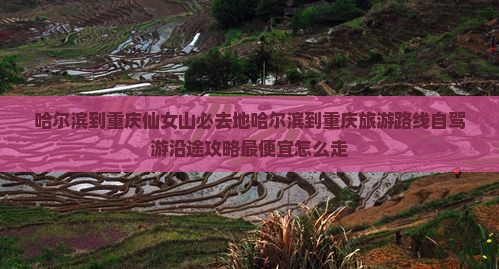 哈尔滨到重庆仙女山必去地