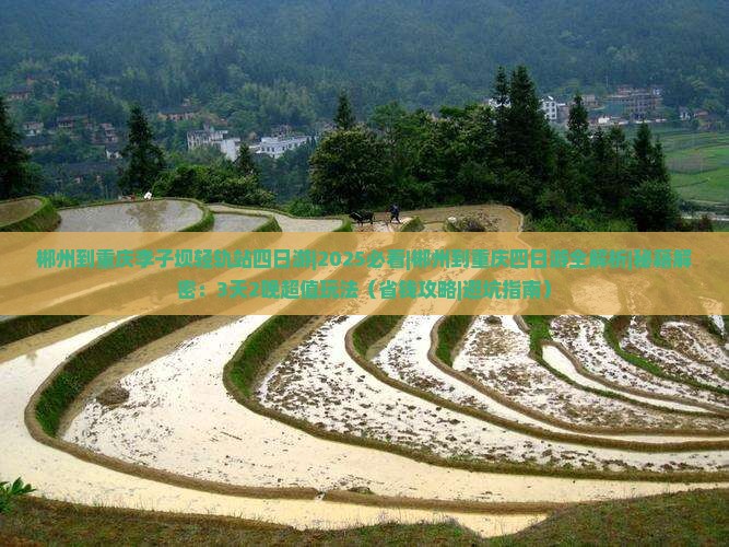 郴州到重庆李子坝轻轨站四日游 郴州到重庆李子坝轻轨站四日游