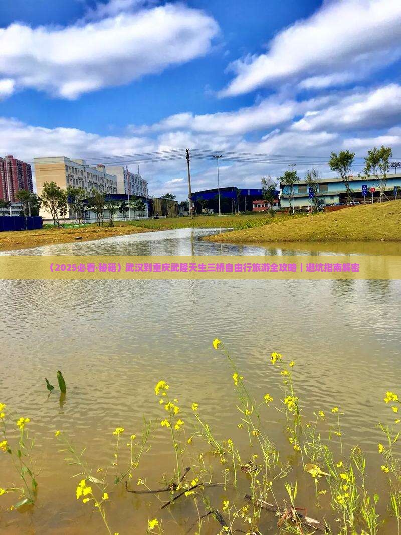 武汉去重庆武隆天生三桥自由行