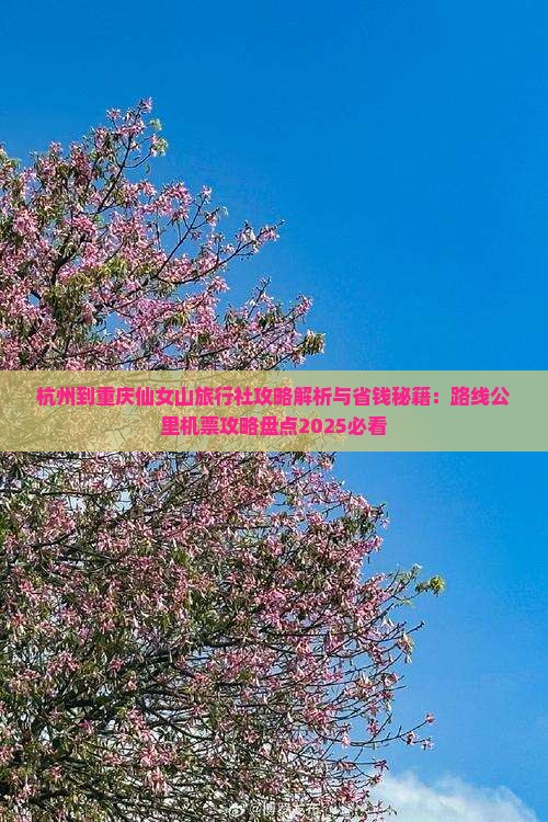 杭州到重庆仙女山旅行社