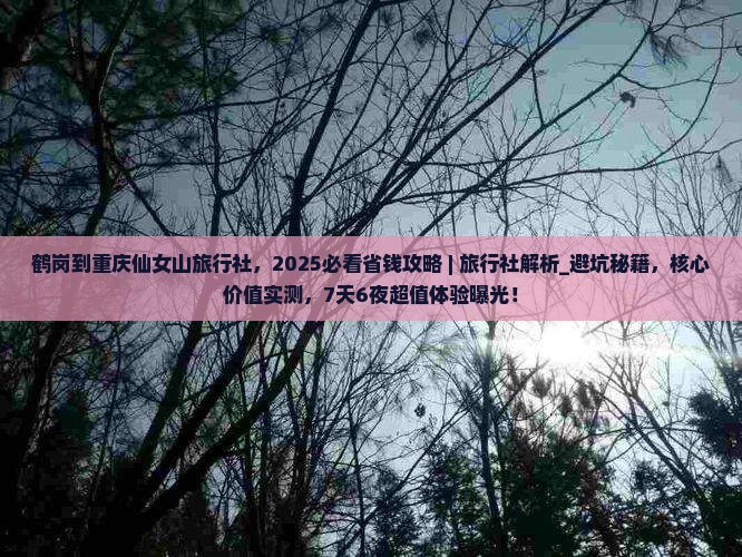 鹤岗到重庆仙女山旅行社
