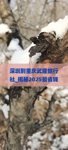 深圳到重庆武隆旅行社