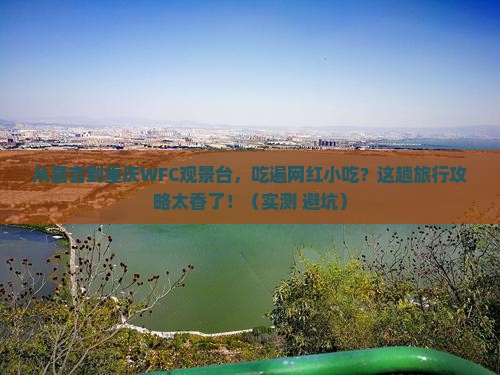 昌吉到重庆wfc观景台旅游小吃