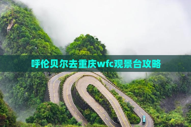 呼伦贝尔去重庆wfc观景台攻略