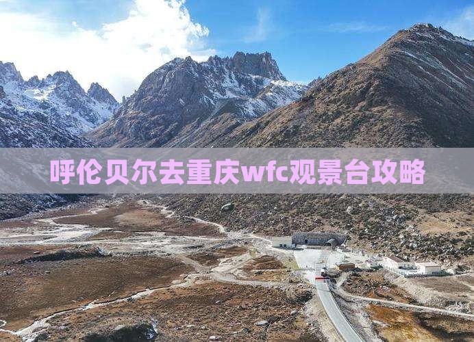 呼伦贝尔去重庆wfc观景台攻略