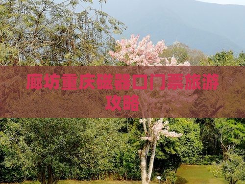 廊坊去重庆磁器口门票
