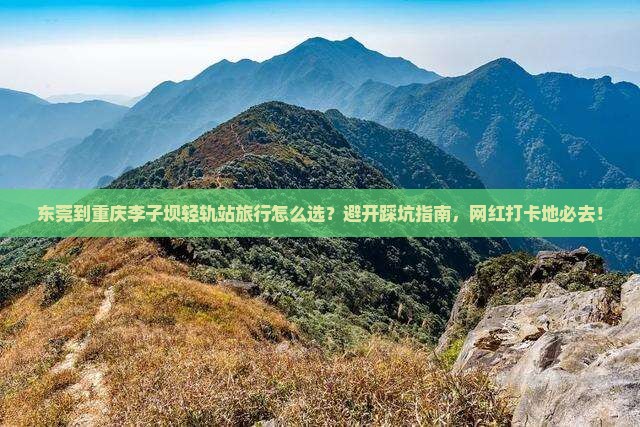 东莞到重庆李子坝轻轨站旅行社