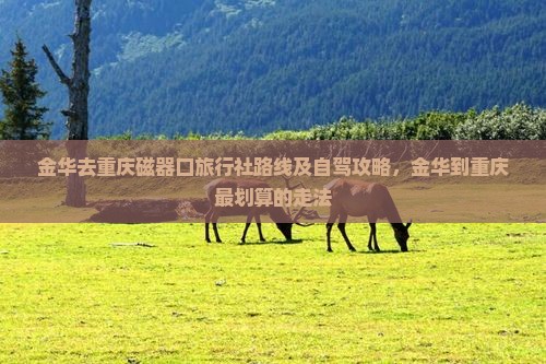 金华去重庆磁器口旅行社