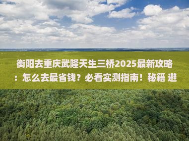 衡阳去重庆武隆天生三桥攻略