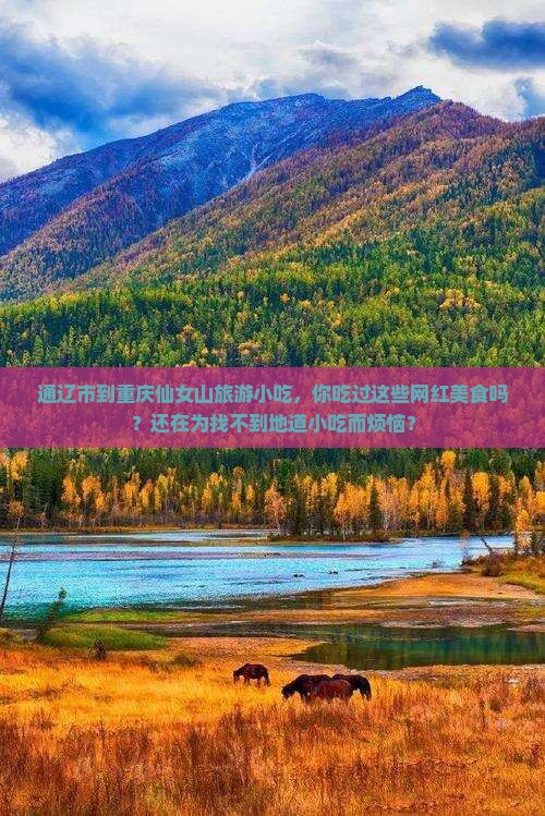 通辽市到重庆仙女山旅游小吃