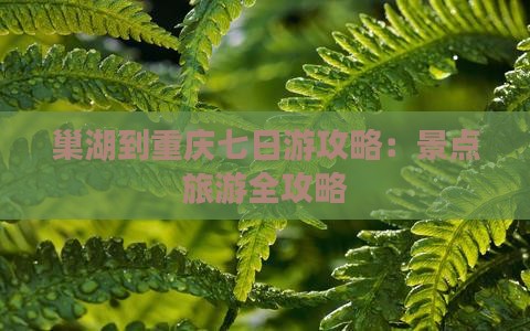 巢湖到重庆七日游