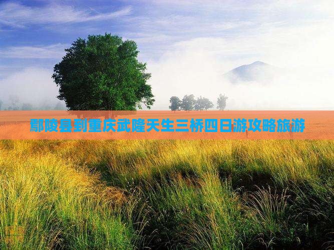 鄢陵县到重庆武隆天生三桥四日游