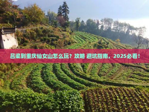 吕梁到重庆仙女山景点