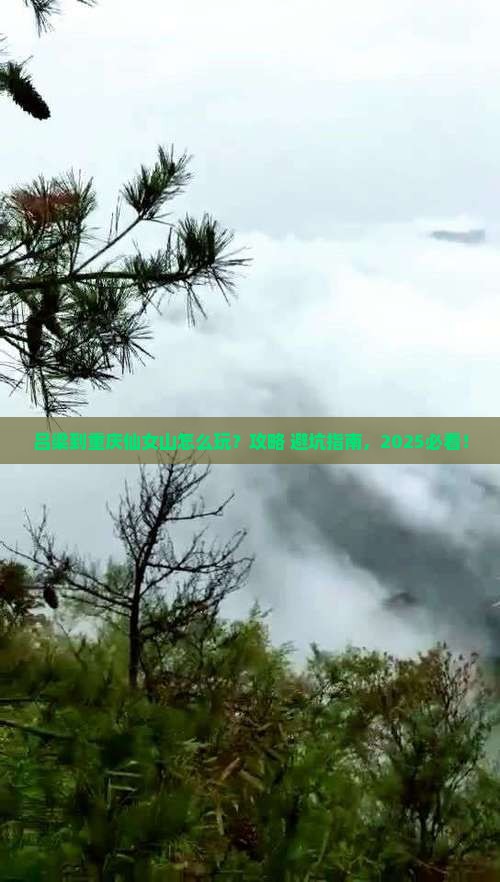 吕梁到重庆仙女山景点