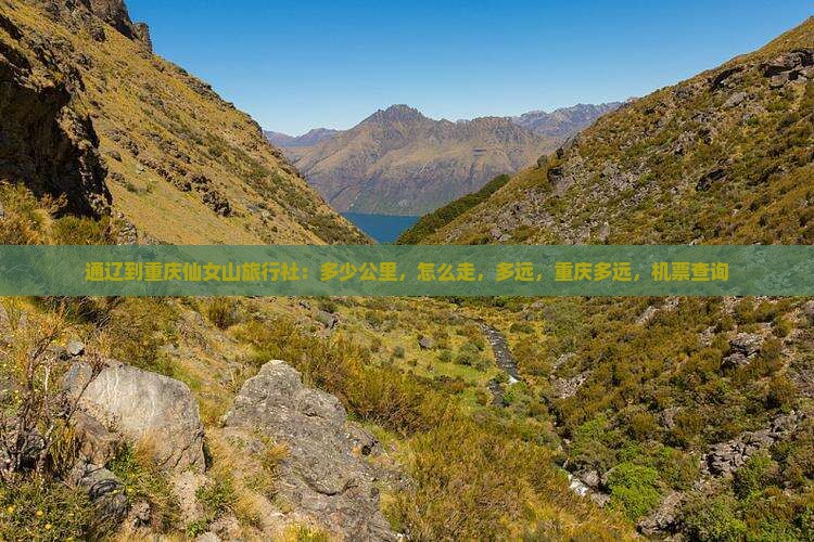 通辽到重庆仙女山旅行社