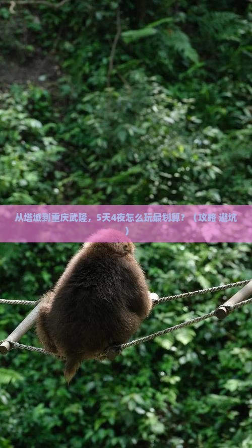 塔城去重庆武隆门票