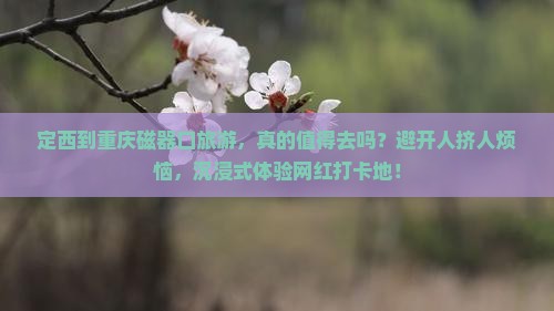 定西到重庆磁器口旅游