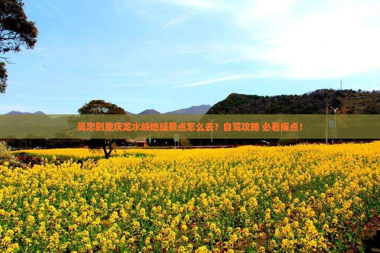 吴忠到重庆龙水峡地缝景点