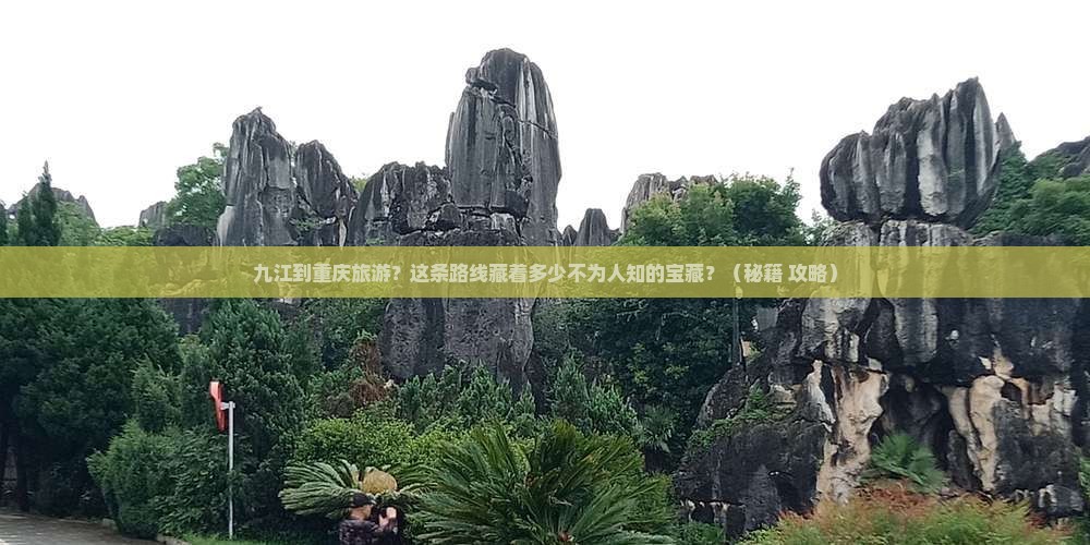 九江到重庆旅游